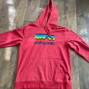 Patagonia Hooide